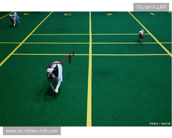 羽毛球战术应用